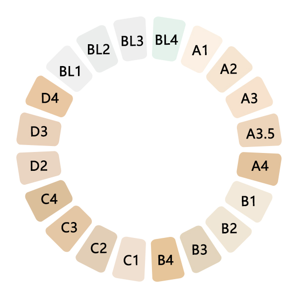 Ownsmile zirconia shade guide showing 16 VITA classical shades and 4 bleach shades from A1 to D4 and BL1 to BL4