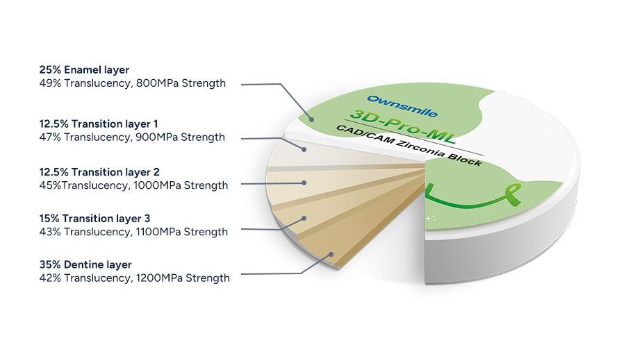Ownsmile 3D Pro multilayer zirconia layer structure showing cervical, body, and incisal gradient zones